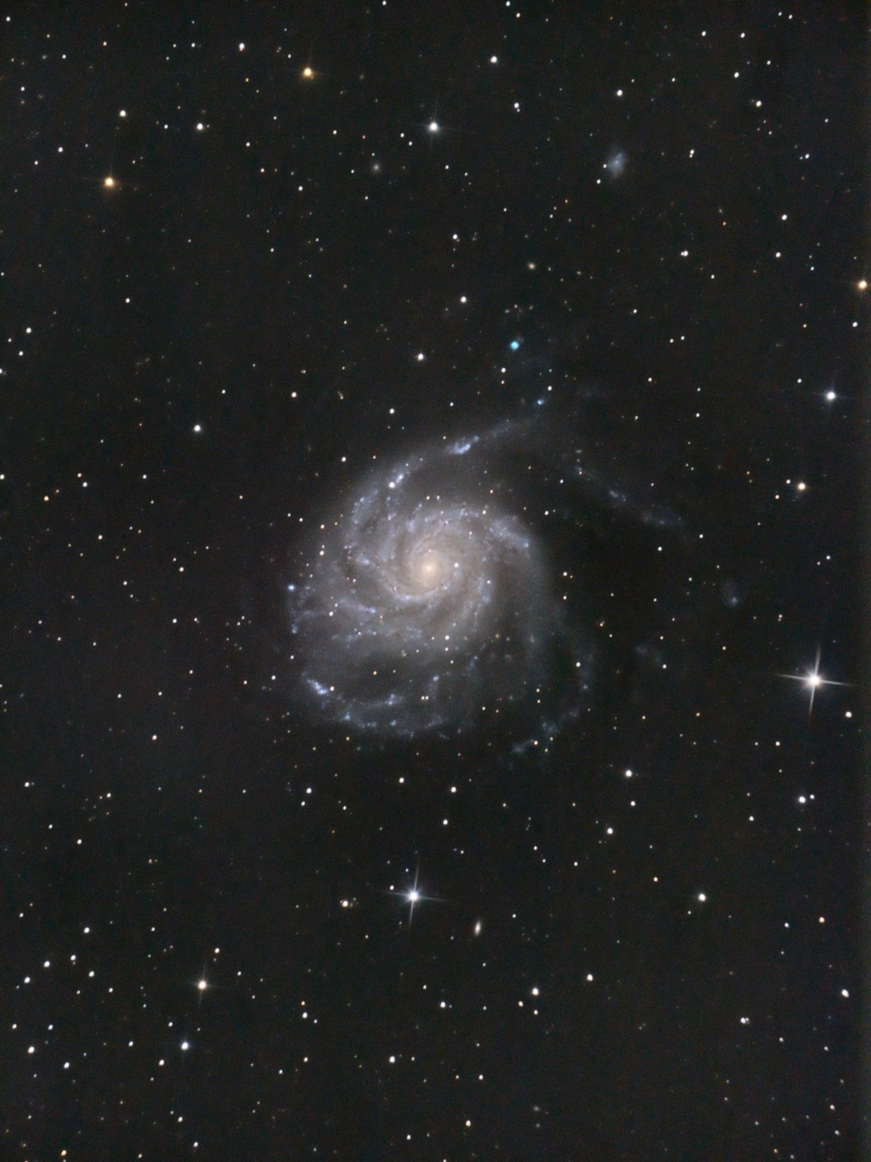 M101 first light
