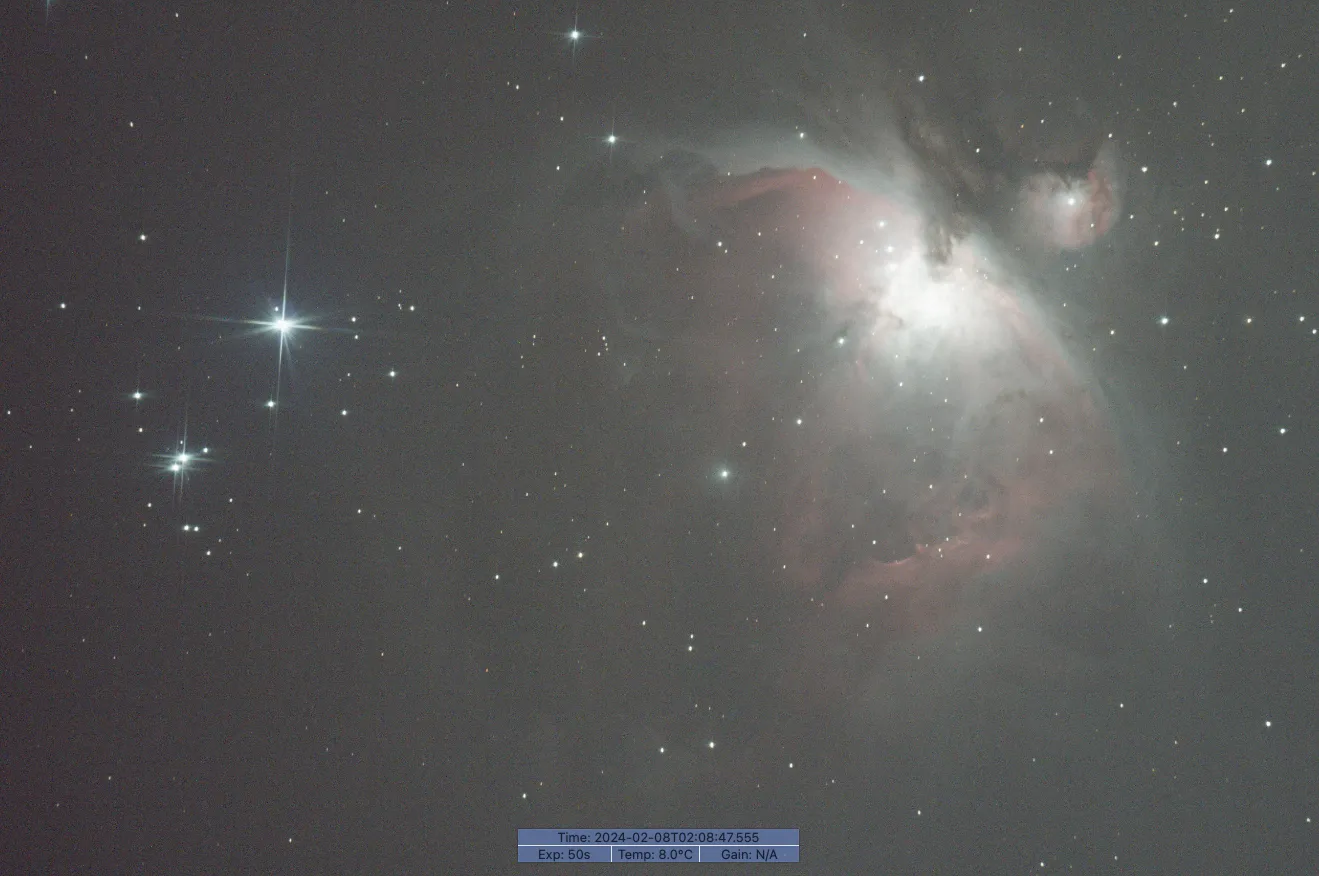 A single 50 second exposure of the orion nebula