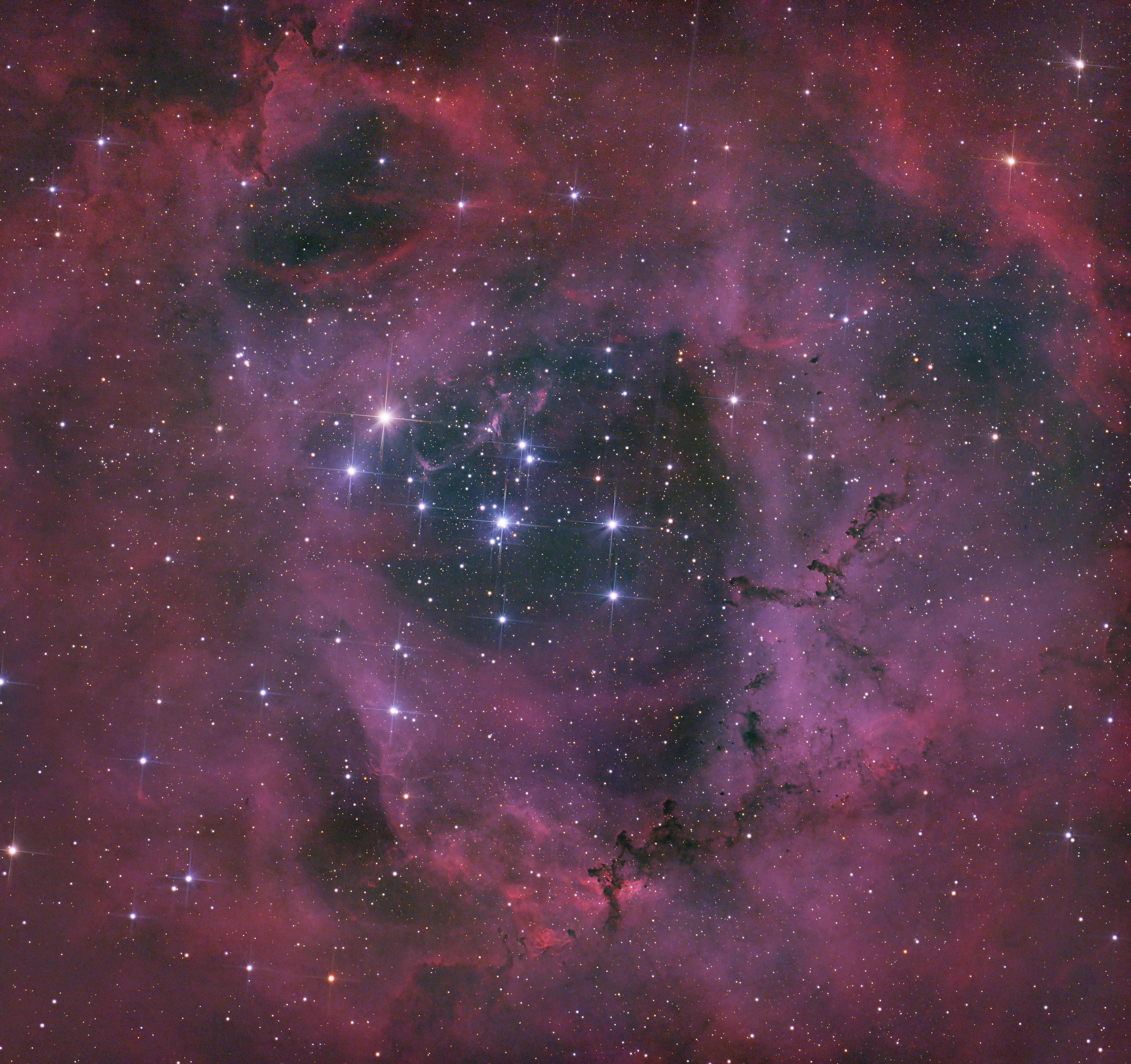 The Rosette Nebula