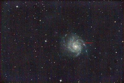 Pinwheel Galaxy [M101]