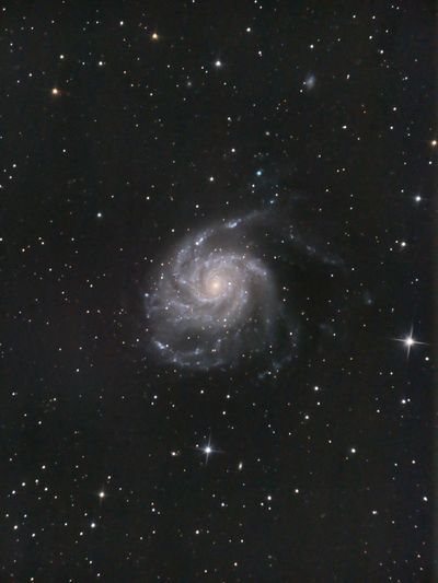Pinwheel Galaxy [M101]