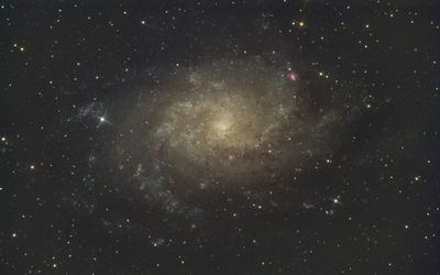 Triangulum Galaxy [M33]