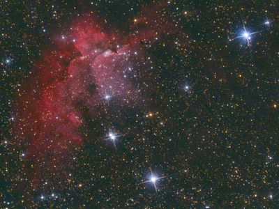 Wizard Nebula [NGC 7380]