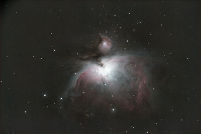 Orion Nebula [M42]